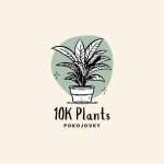 10K PLANTS