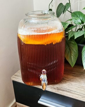 Kombucha, čajová houba
