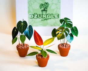 PAPÍROVÁ DŽUNGLE - tropické trio Chiapas